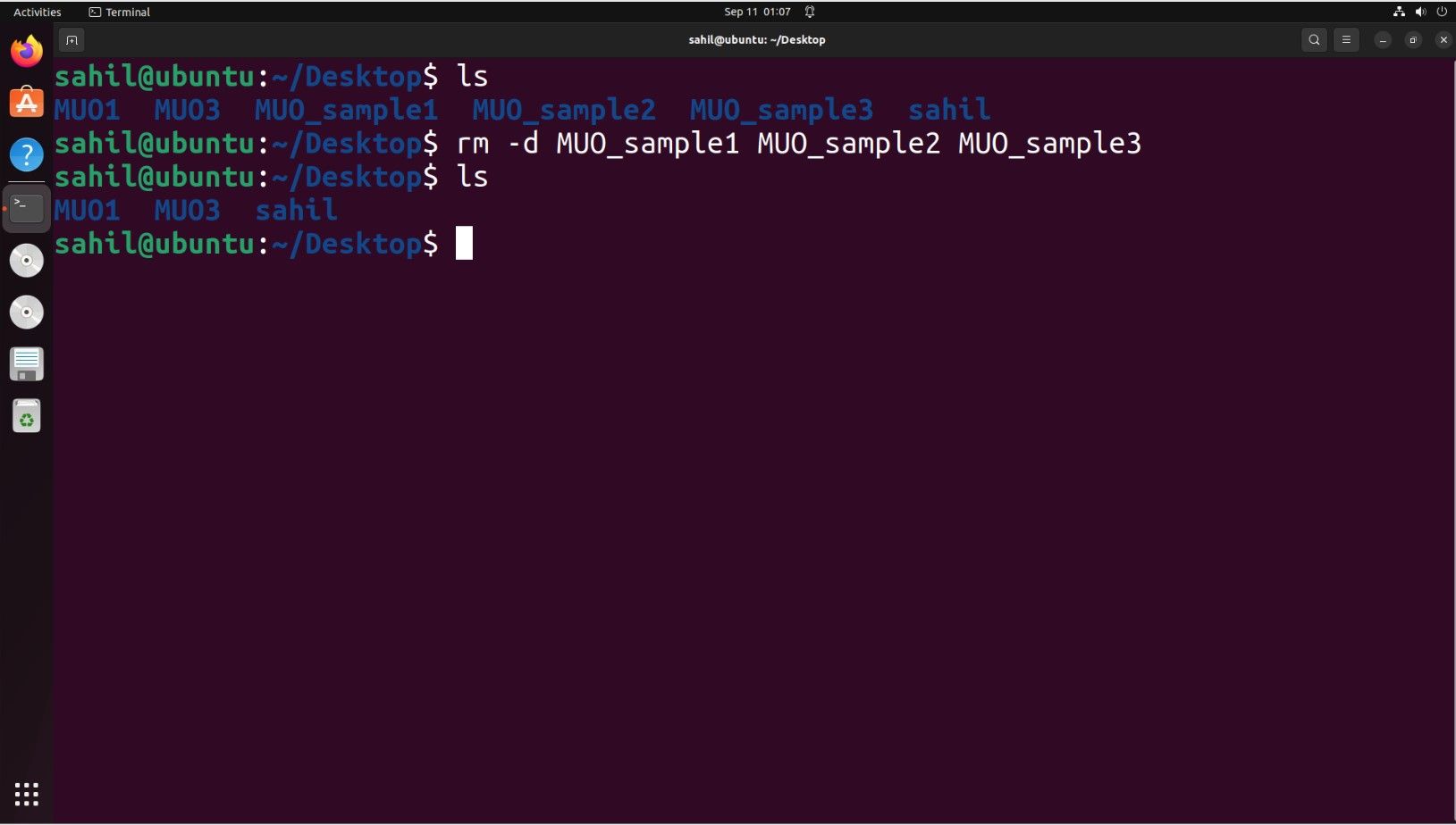   Janela do terminal Ubuntu com trechos de código para remover vários diretórios