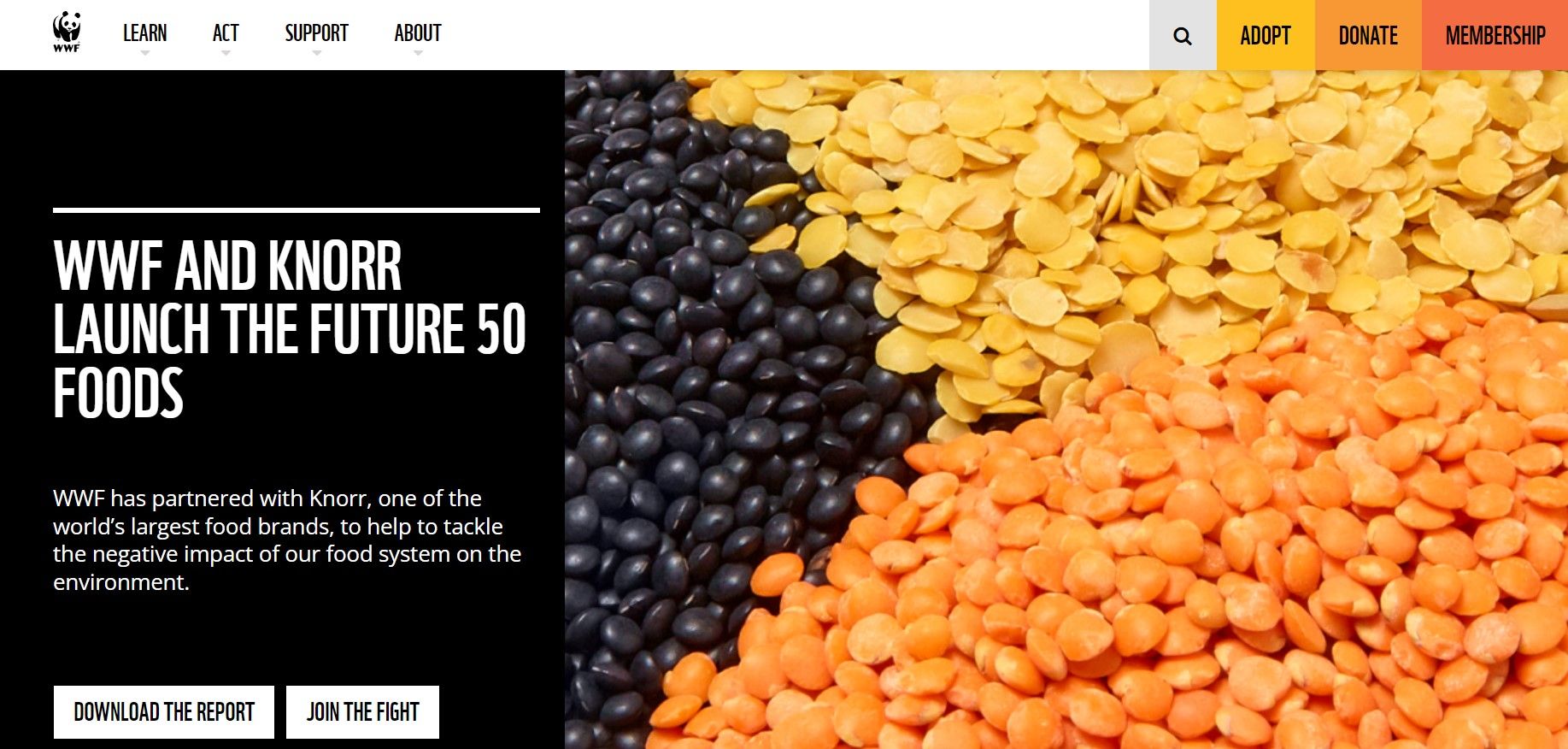 Captură de ecran a raportului WWF și Knorr’s Future 50 Foods