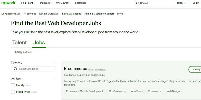 How to Become a Freelance Developer: The Ultimate Guide