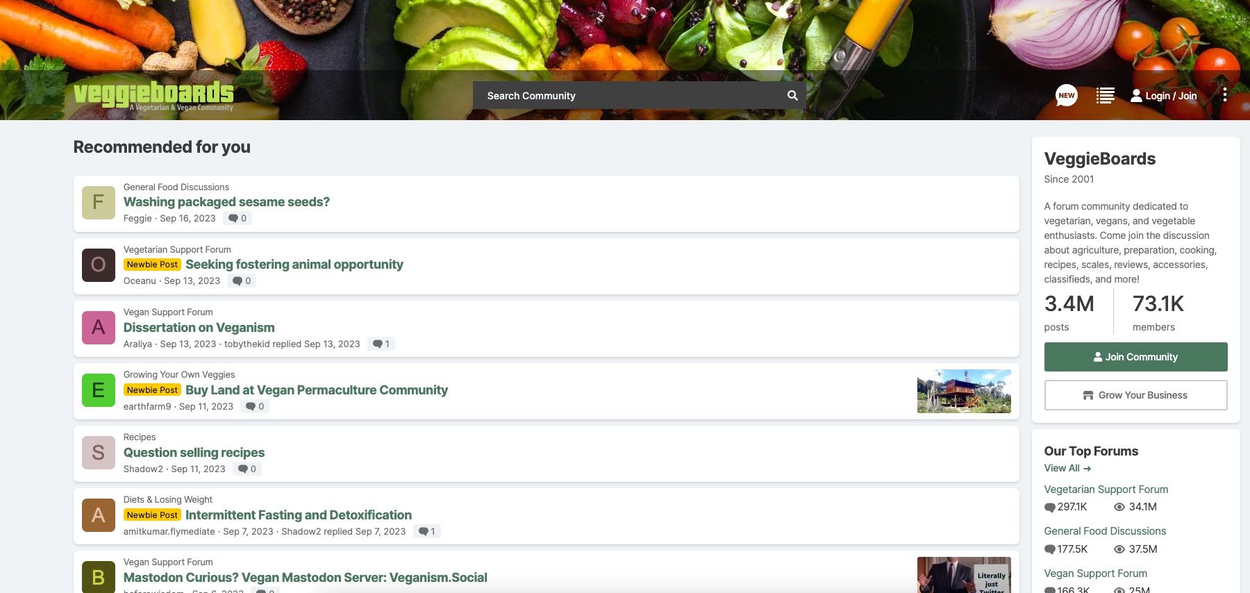 Captură de ecran a site-ului Veggie Boards