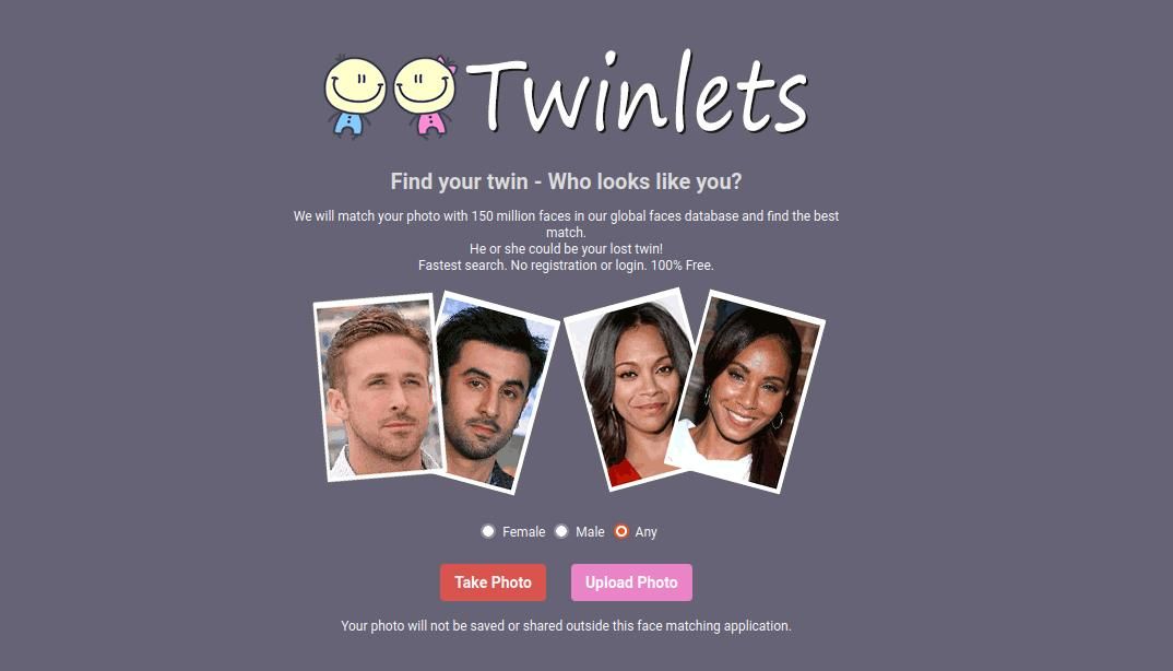 vizualizarea paginii de pornire a site-ului twinlets