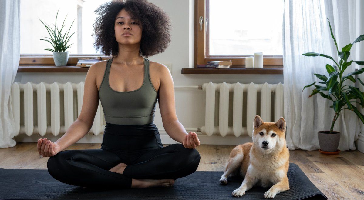 Mulher fazendo ioga ao lado de cachorro 