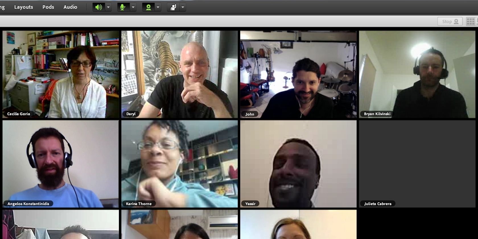 Zoom Video Call With 11 Men and Women Professionals