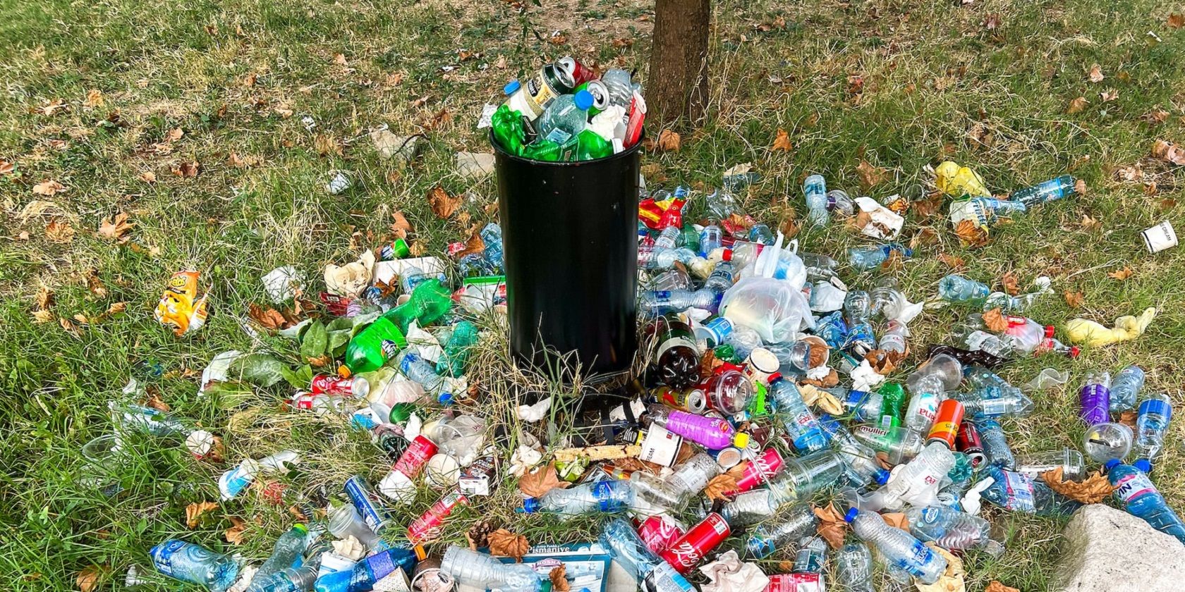 A waste bin 
