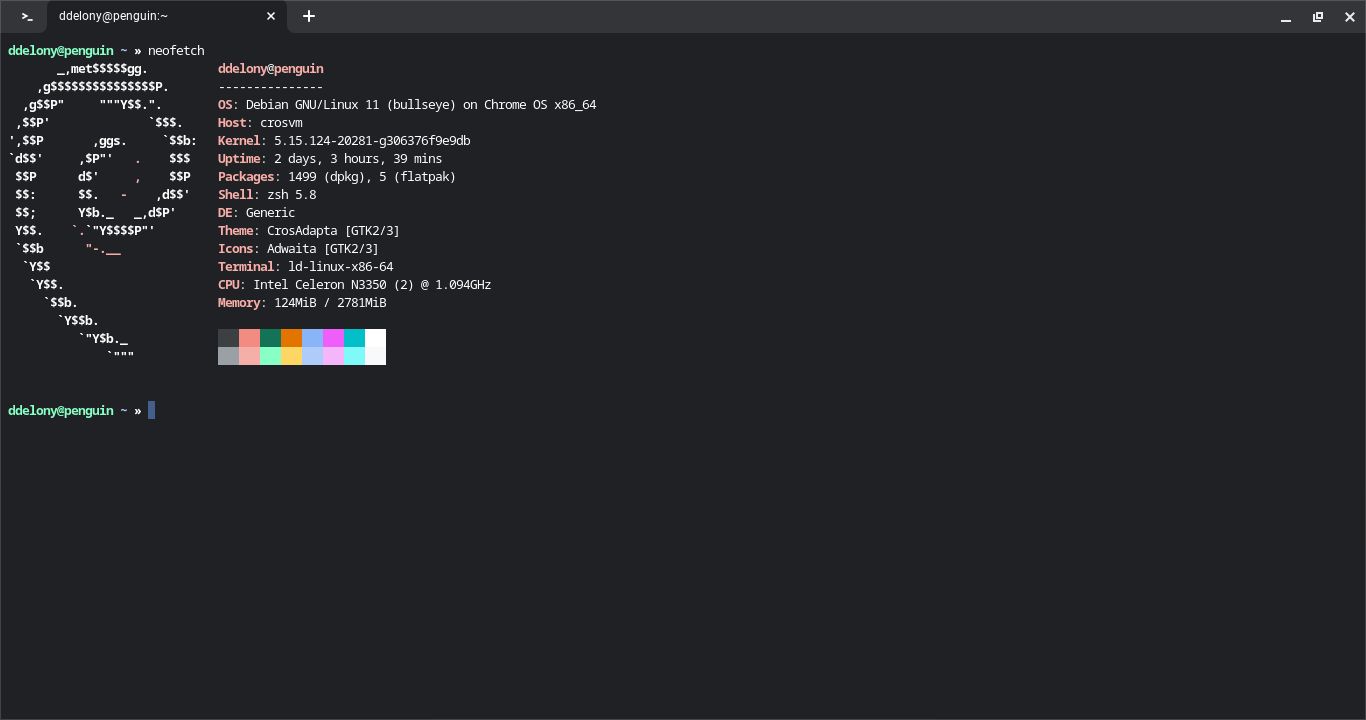 Chromebook Linux terminal showing Neofetch output