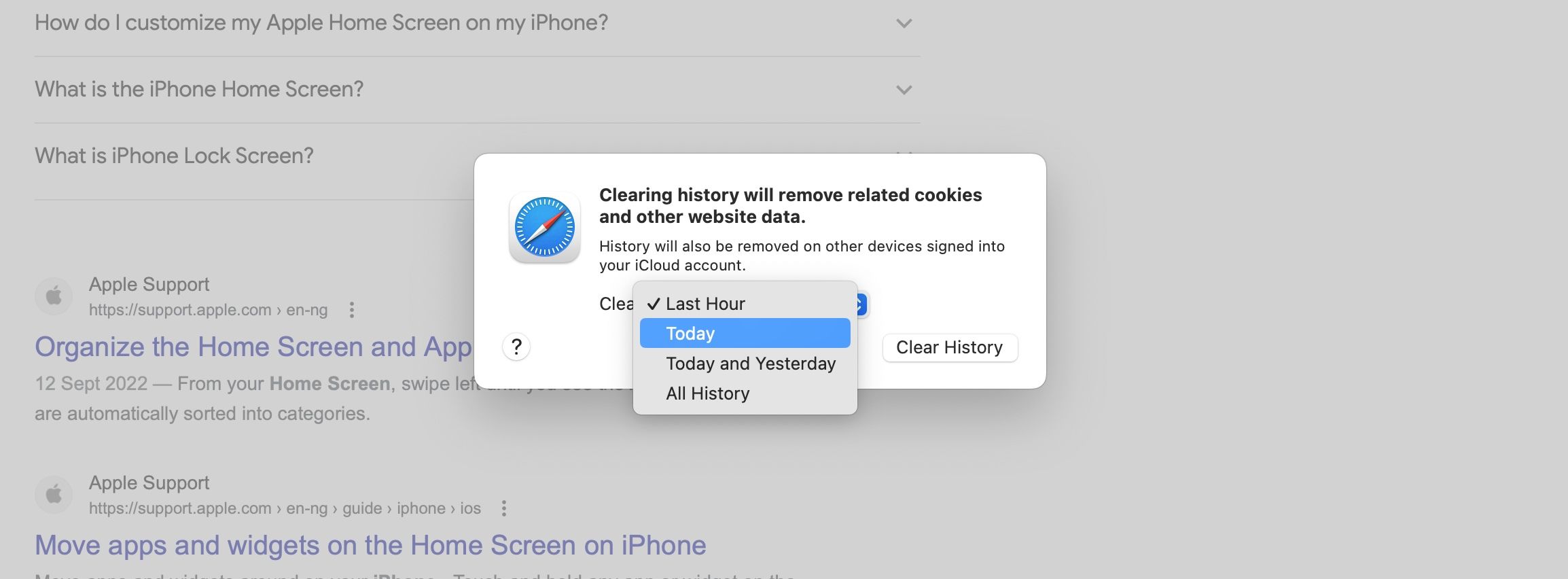 Clear history pop-up on macOS Safari