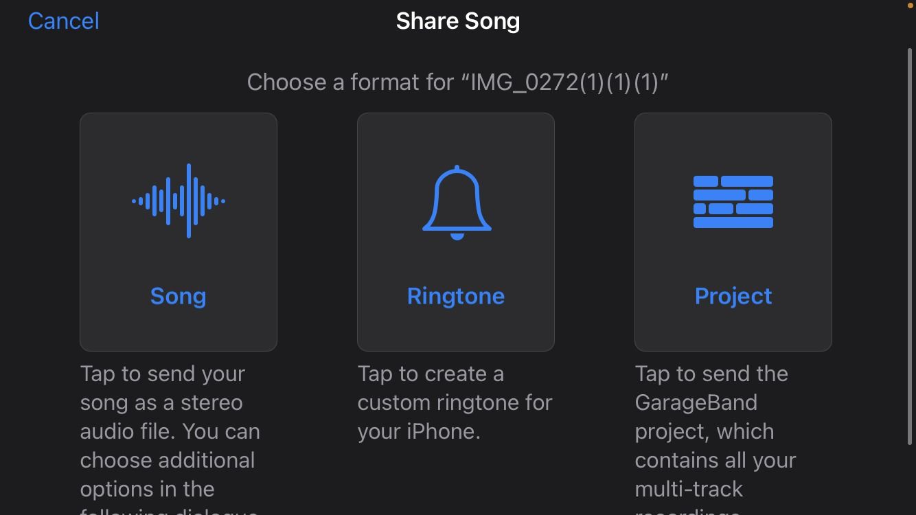 Share Options in GarageBand