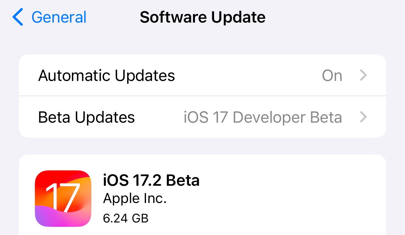 iOS Software Update menu