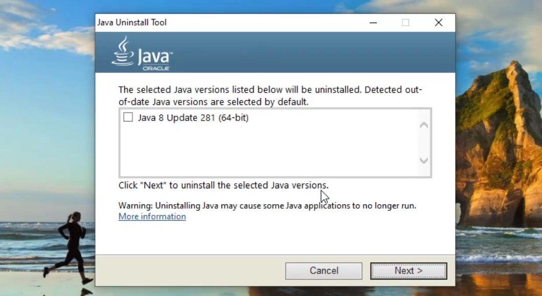 Флажок версии Java установлен 