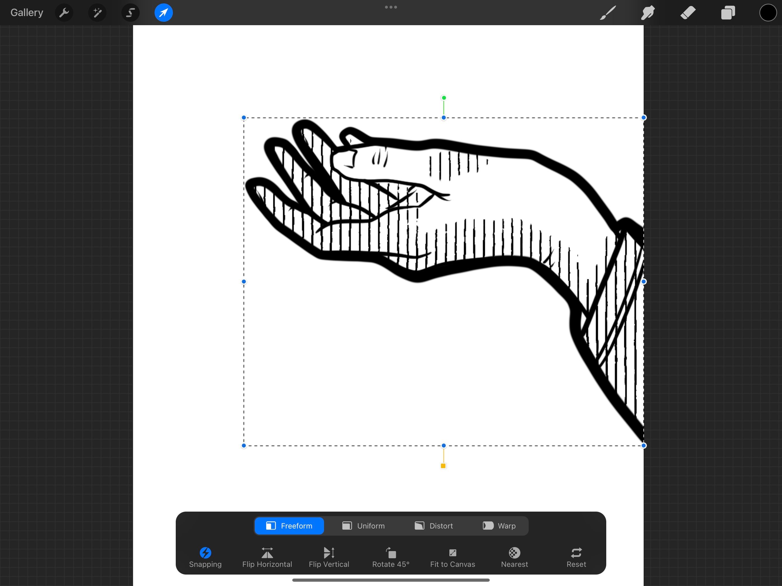 یک خط سیاه و سفید از یک دست در Procreate که ابزار انتخاب برجسته شده است.