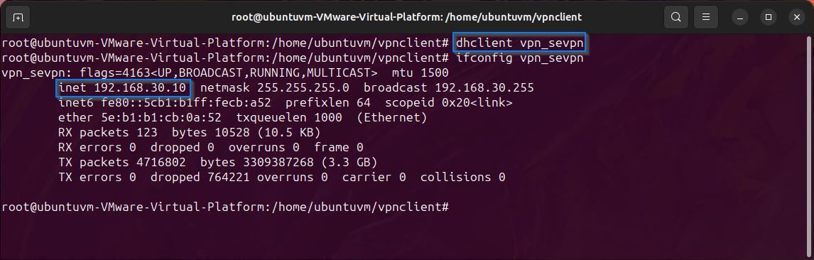 Linux terminal showing dhcp client IP request