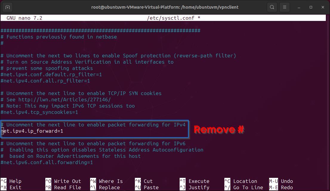 Linux terminal nano text editor and systemctl conf file for ip forwarding enable
