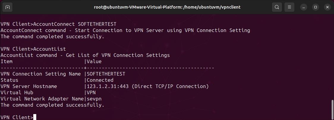 Linux terminal showing softether vpncmd account list command