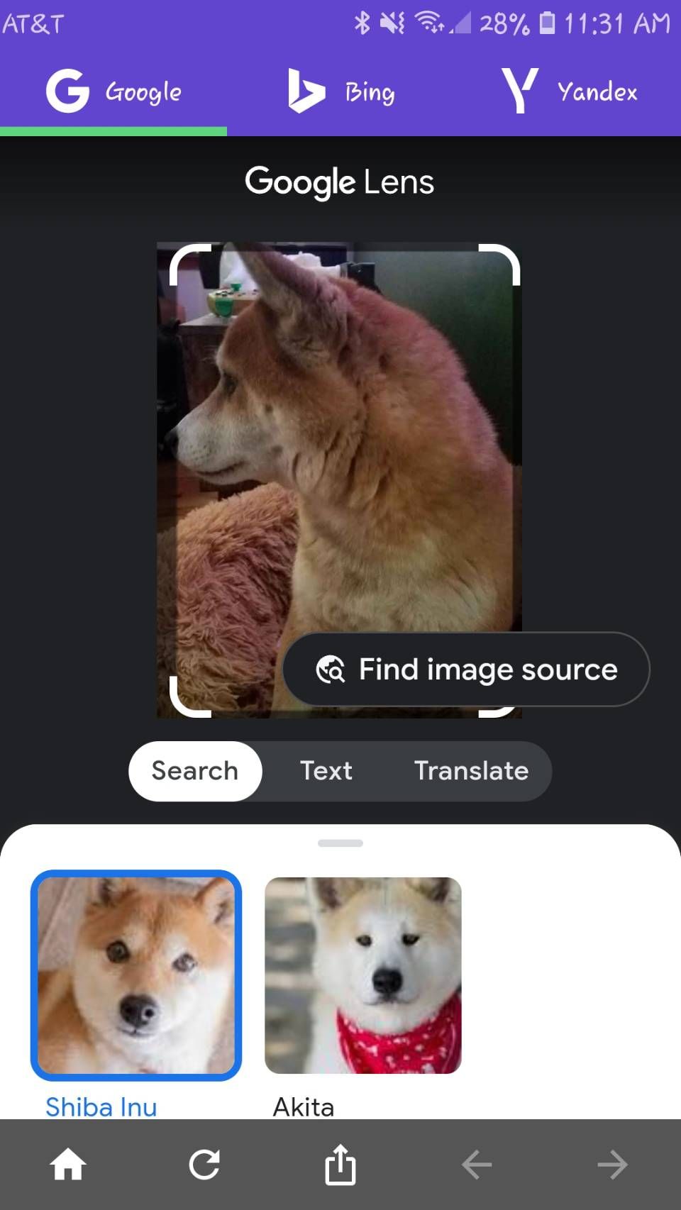 Reverse image search rimg google lens results