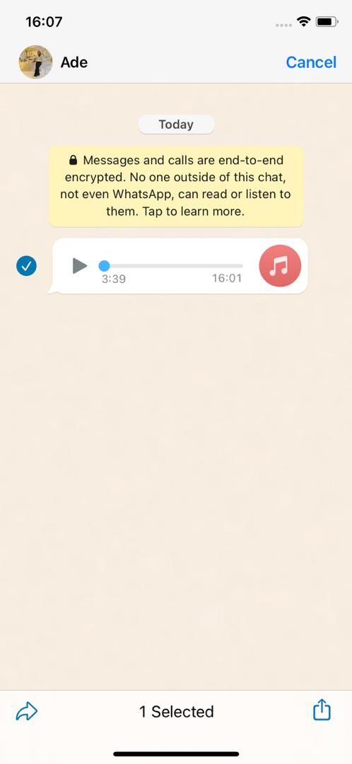 اسکرین شات آیکون اشتراک گذاری WhatsApp در آیفون