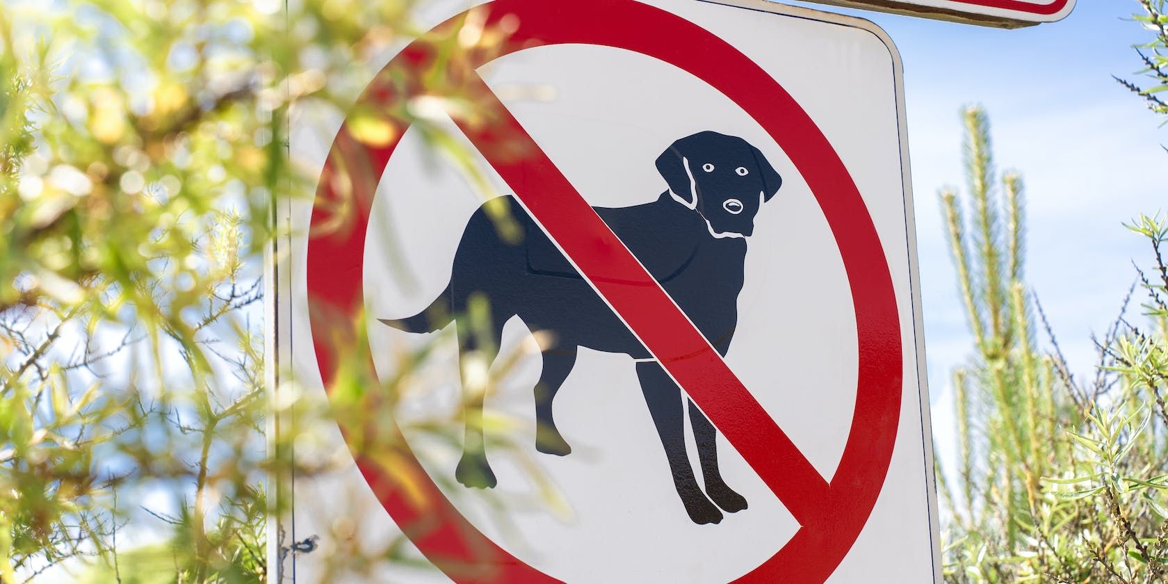 a dog is pictured on a not allowed sign