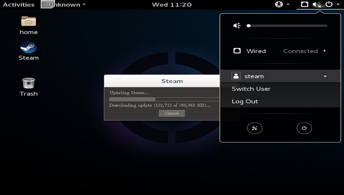 allowing steam to update while logged in as steam in steamos