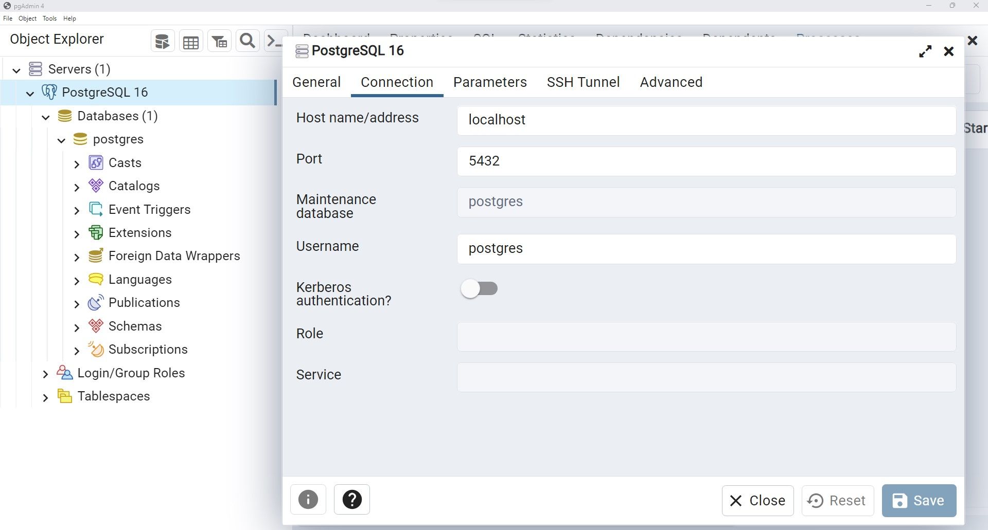 پنجره جزئیات اتصال در سرور Postgres