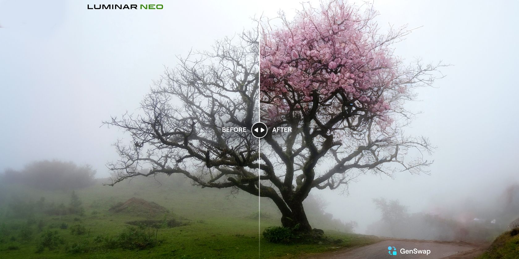 Luminar Neo GenSwap Before and After of Tree Swap