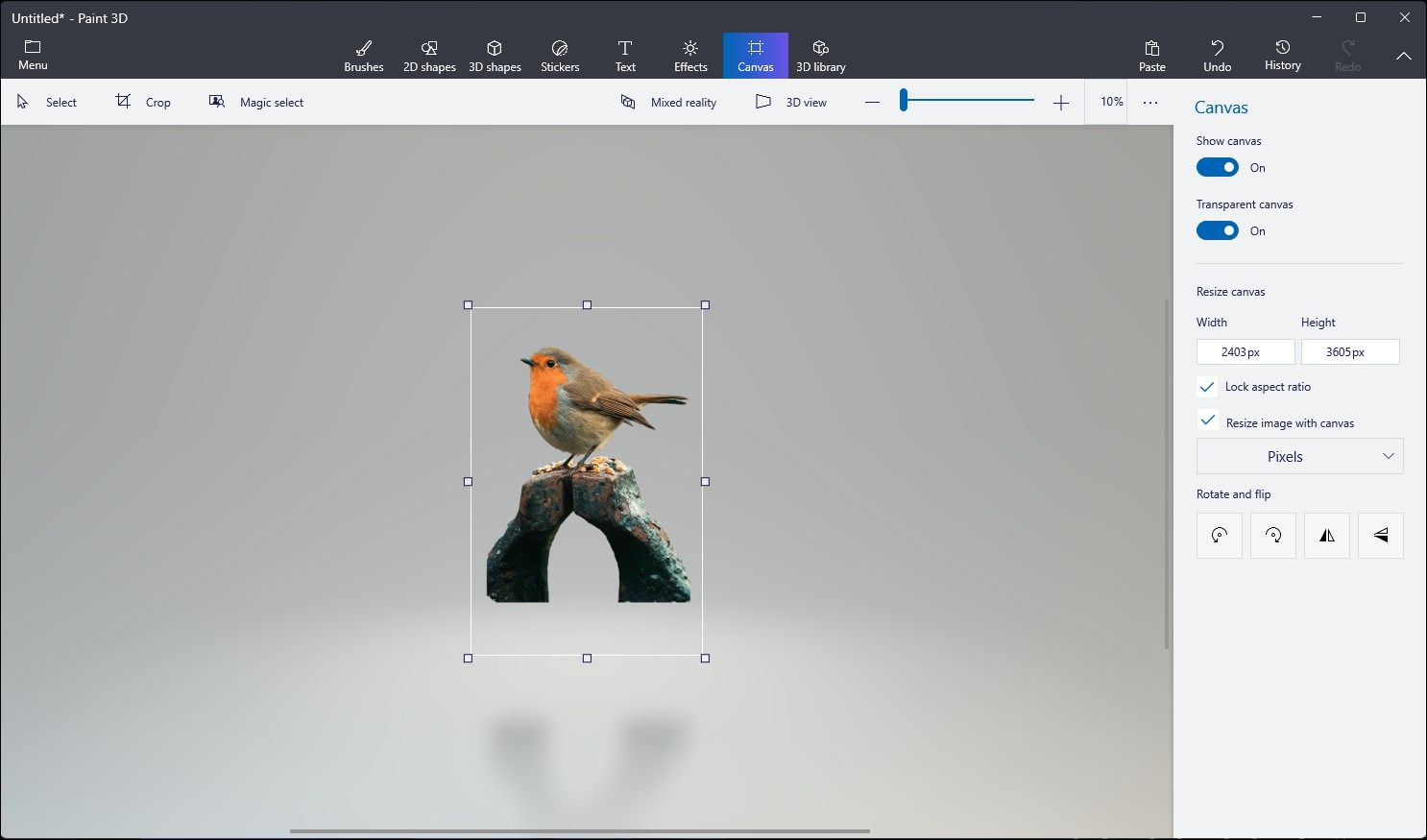 Paint 3D App Showing a Deleted Bird Background Canvas In Windows 11