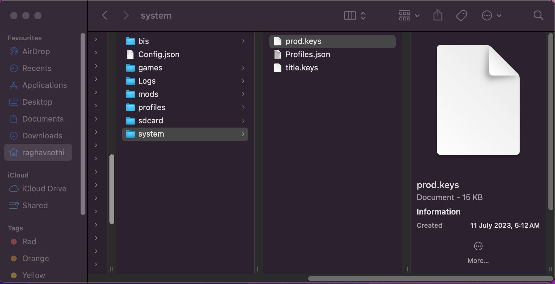 Dossier système Ryujinx ouvert avec prod.keys collé dans le répertoire
