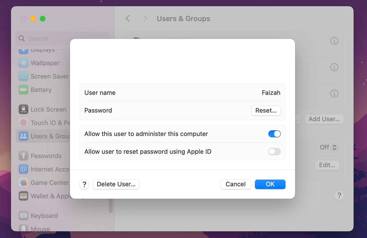 User options sub-window in macOS System Settings