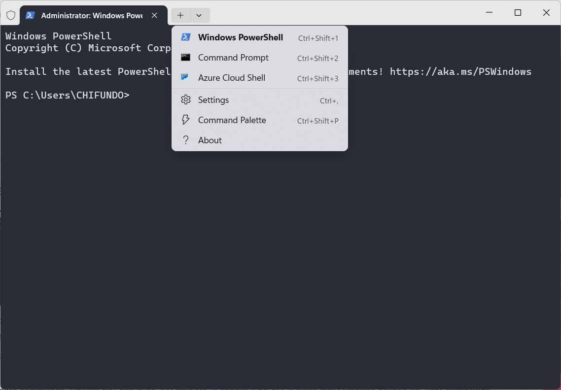 Windows Terminal with the profiles dropdown expanded