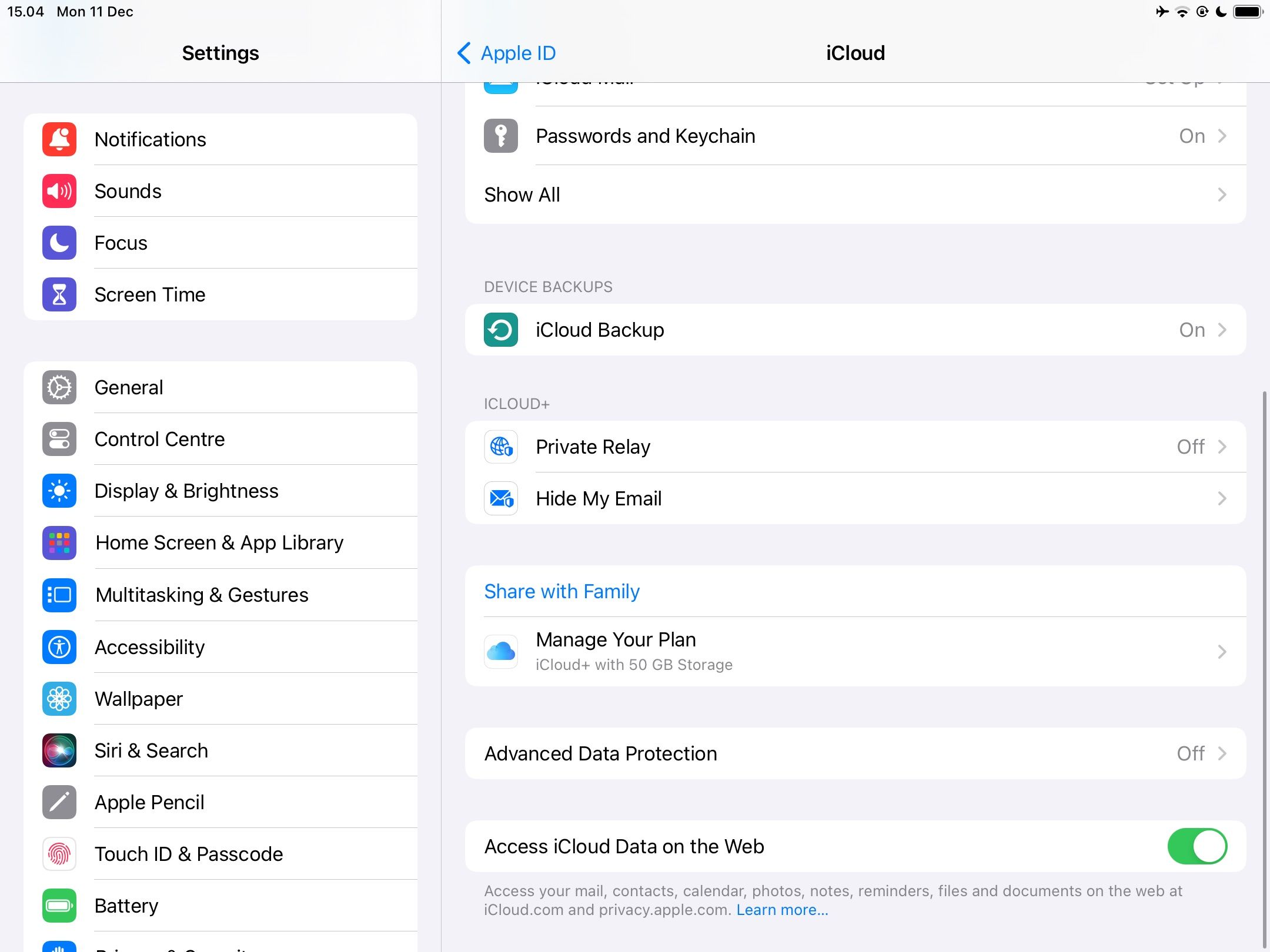 تب iCloud Private Relay در iPad