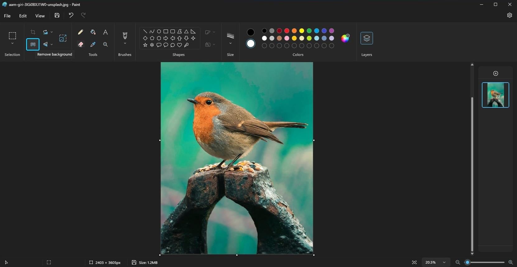 Microsoft Paint App With a Bird Image and Remove Background Option Selected in Windows 11