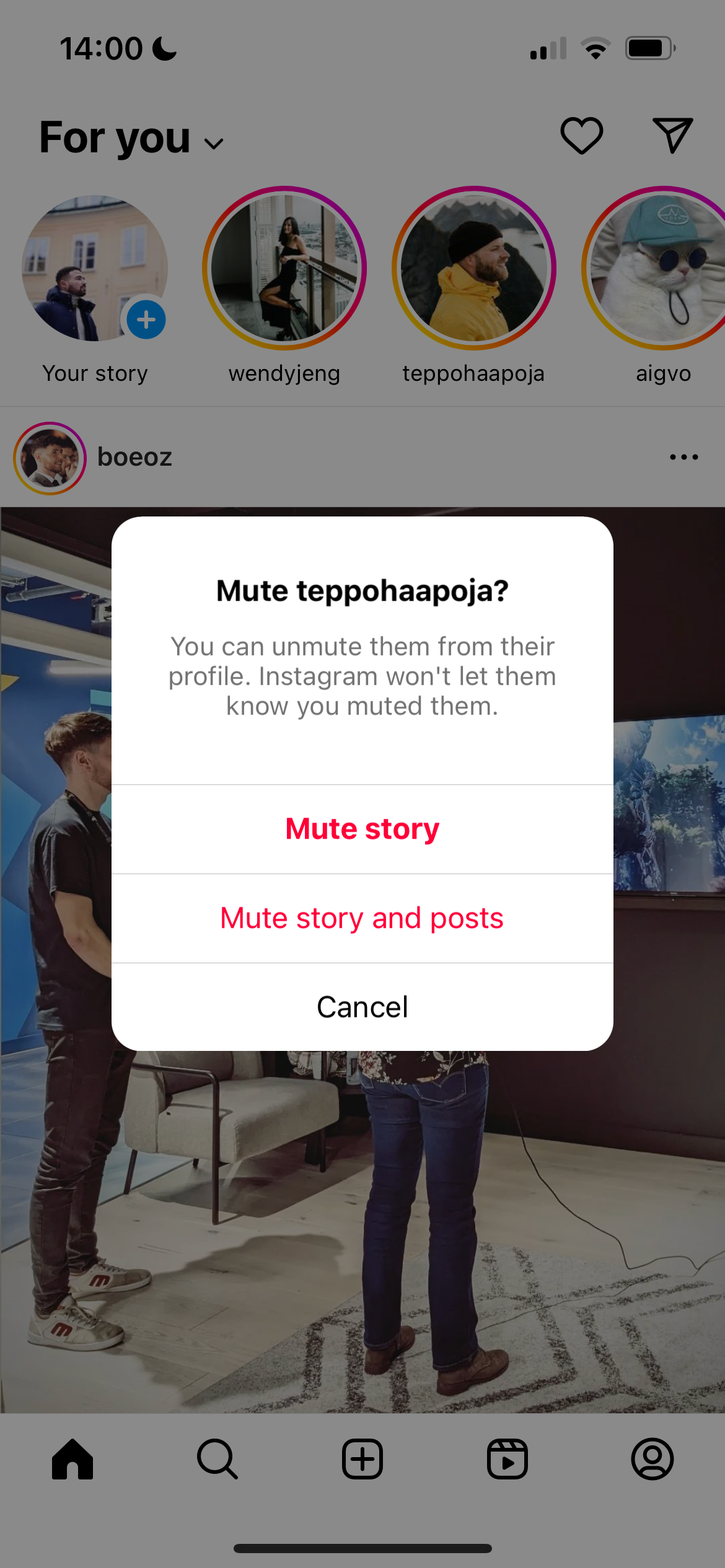 Mute Story and Posts on the Instagram App