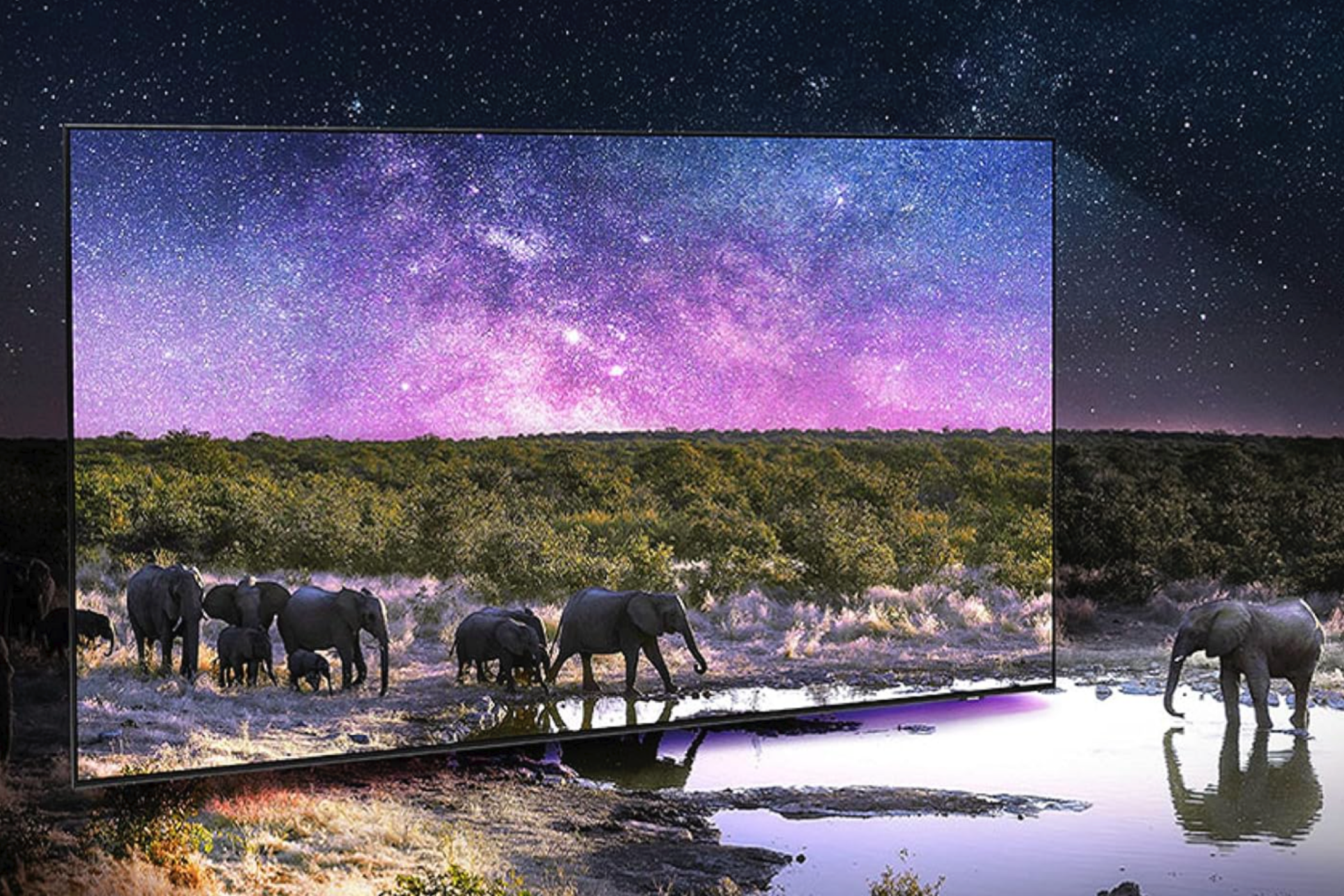 An image depicting elephants walking out of a Samsung Neo QLED 4K QN90C TV to demonstrate the lifelike image quality.