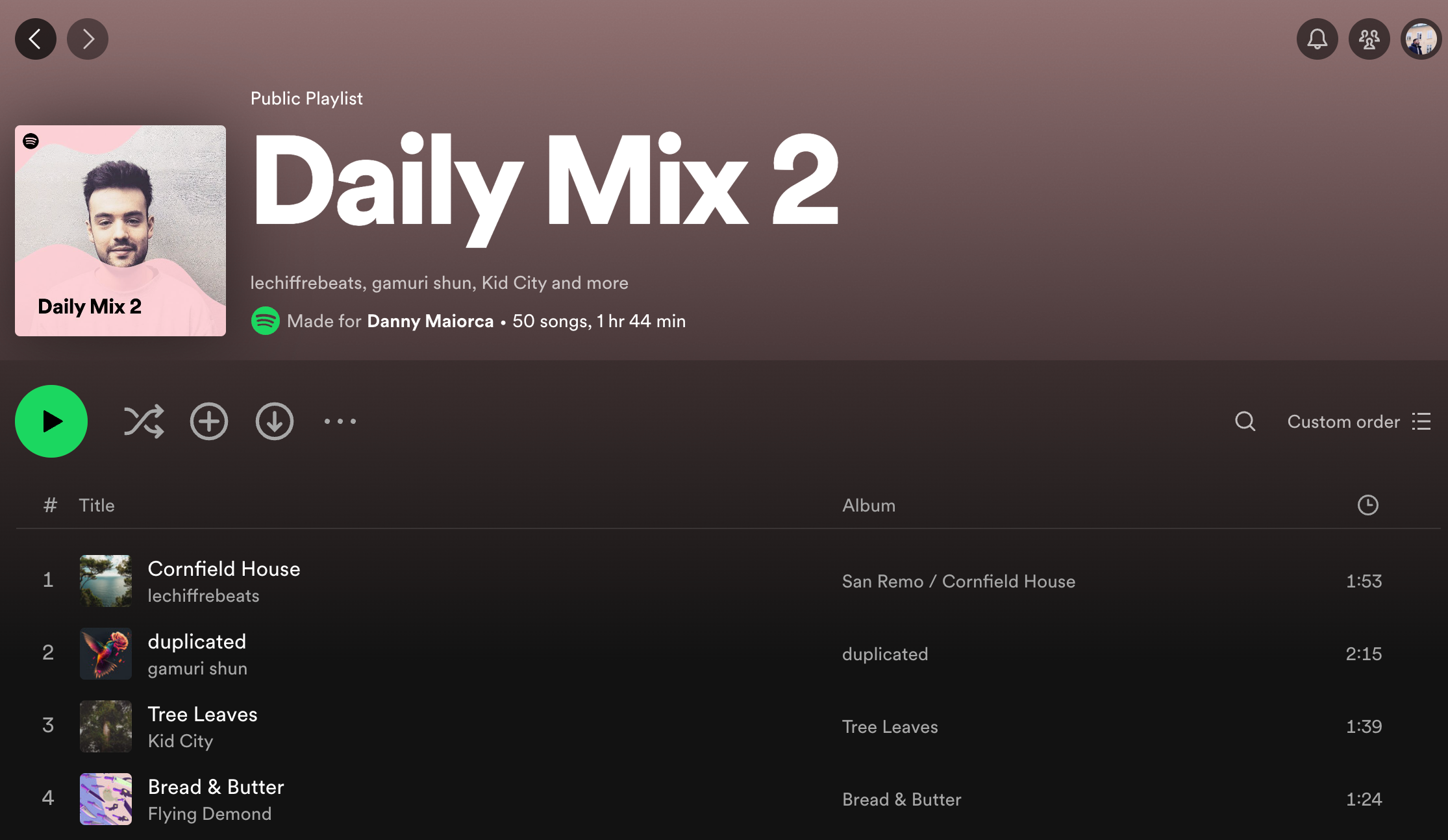 A Daily Mix Playlist on Spotify