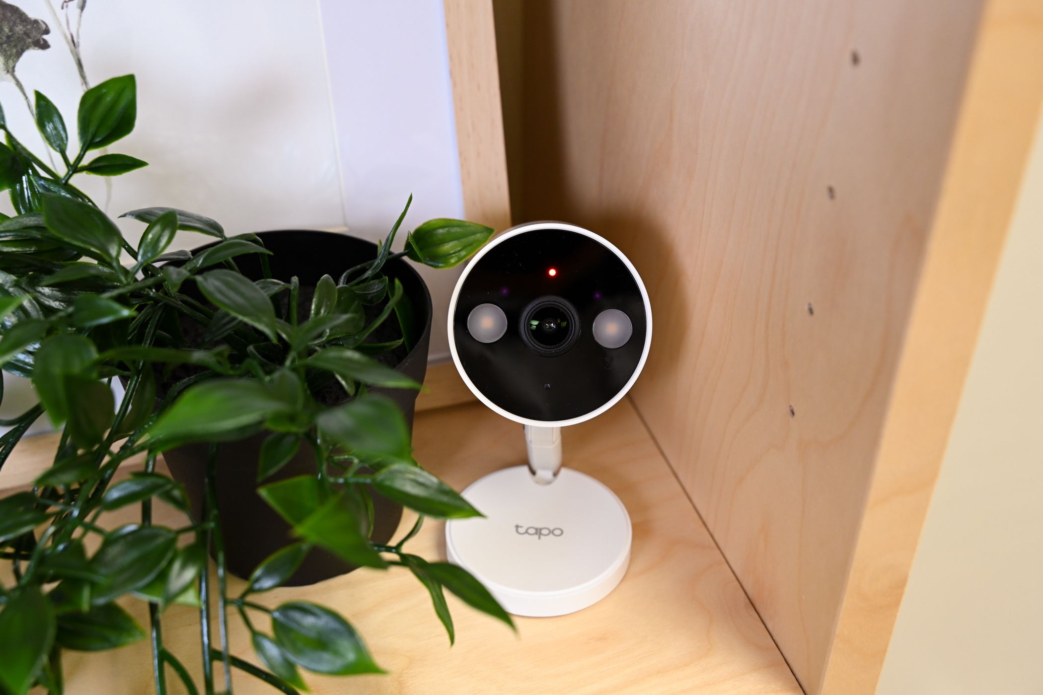 Tapo Security Camera with Red Recording light on sitting on bookshelf with plant