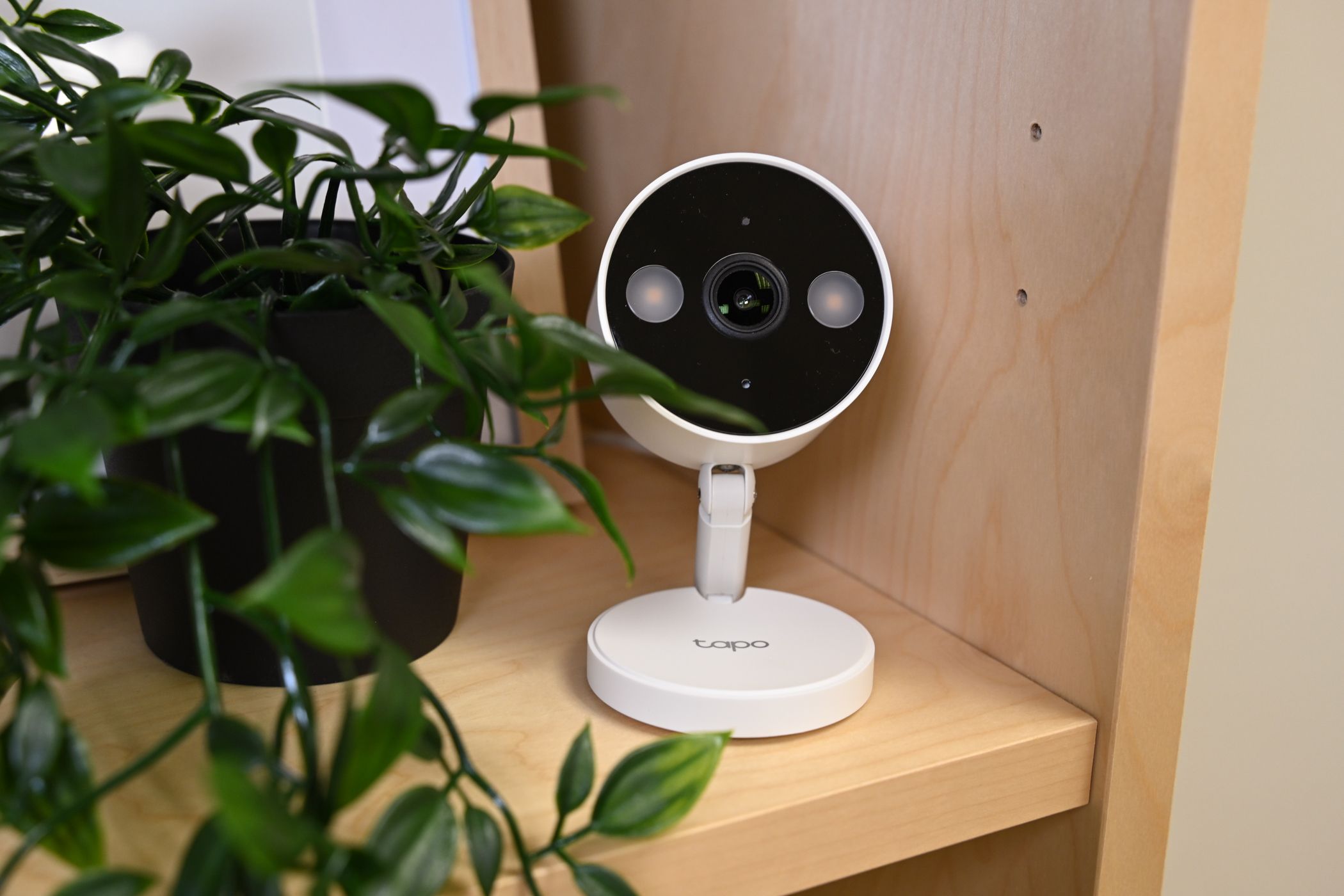 Tapo Security Camera on bookshelf with plant