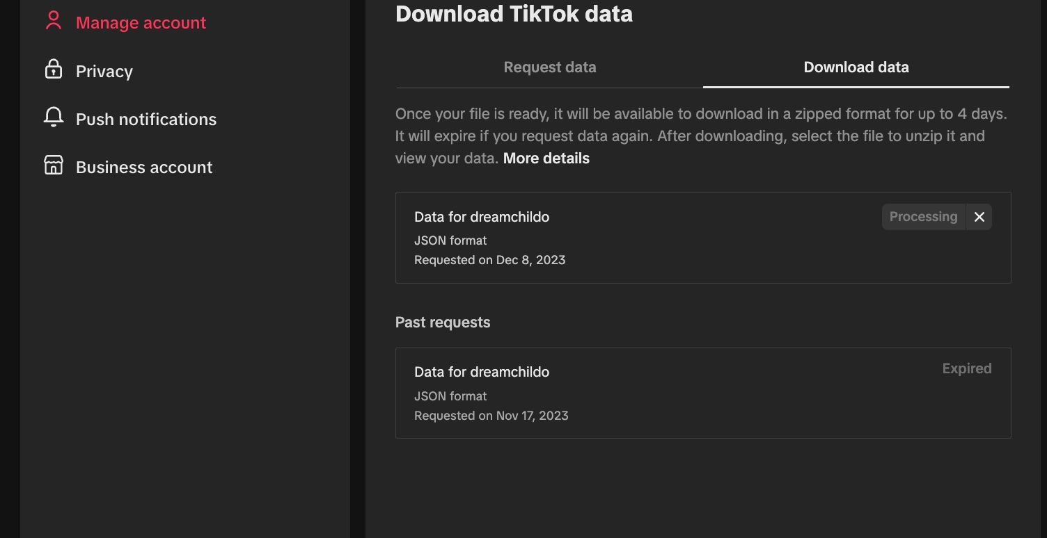 TikTok processing data file
