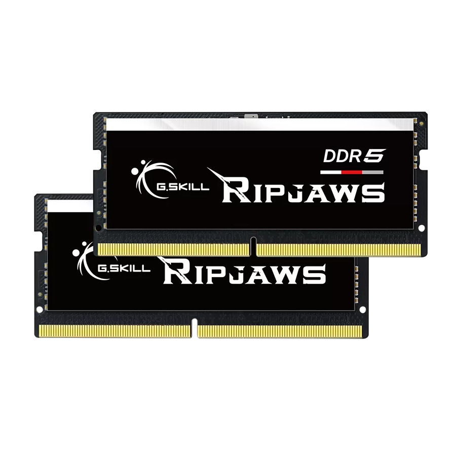 The G.SKILL Ripjaws DDR5-5600 SO-DIMM RAM.