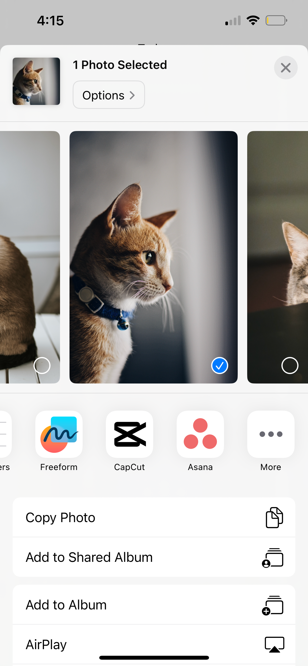 iphone share menu in photos app