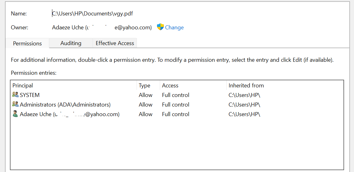 Pagina de permisiuni pentru un fișier în Windows 11