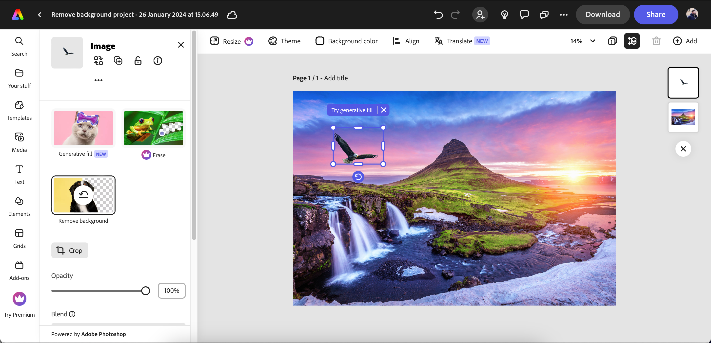 تصویری با پس‌زمینه حذف شده در برنامه Adobe Express
