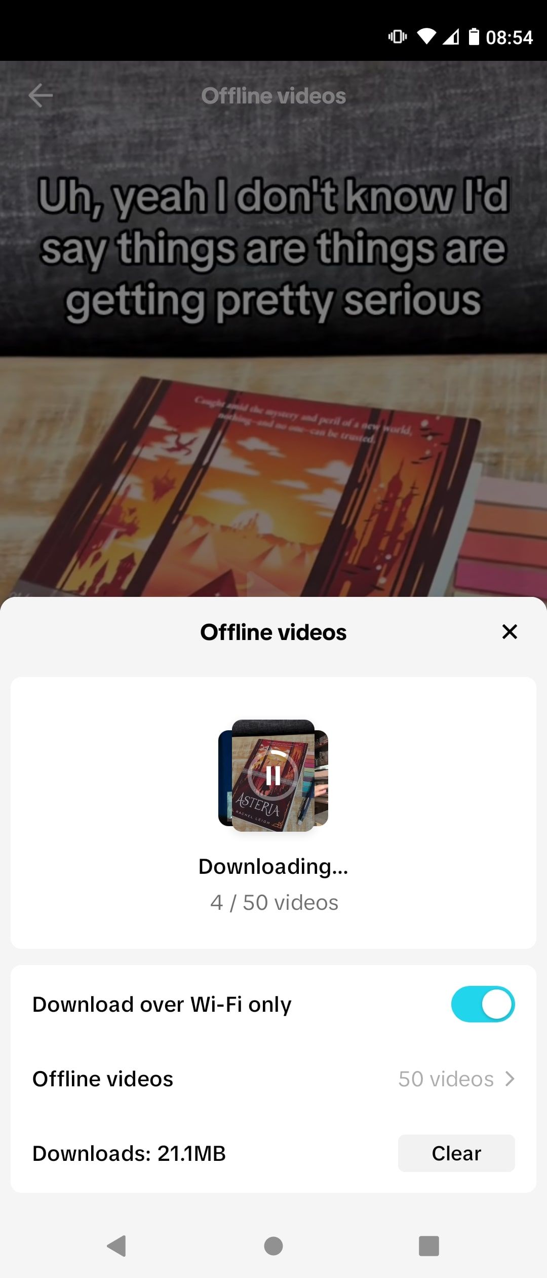 TikTok Download Videos Offline