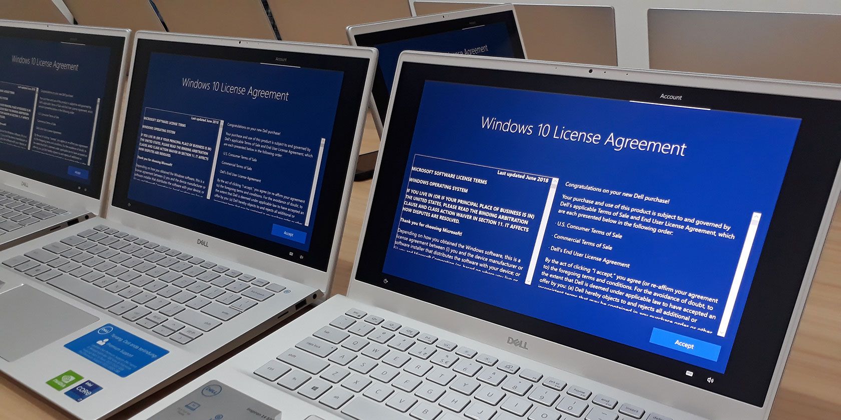 Windows 10 laptops displaying license agreements