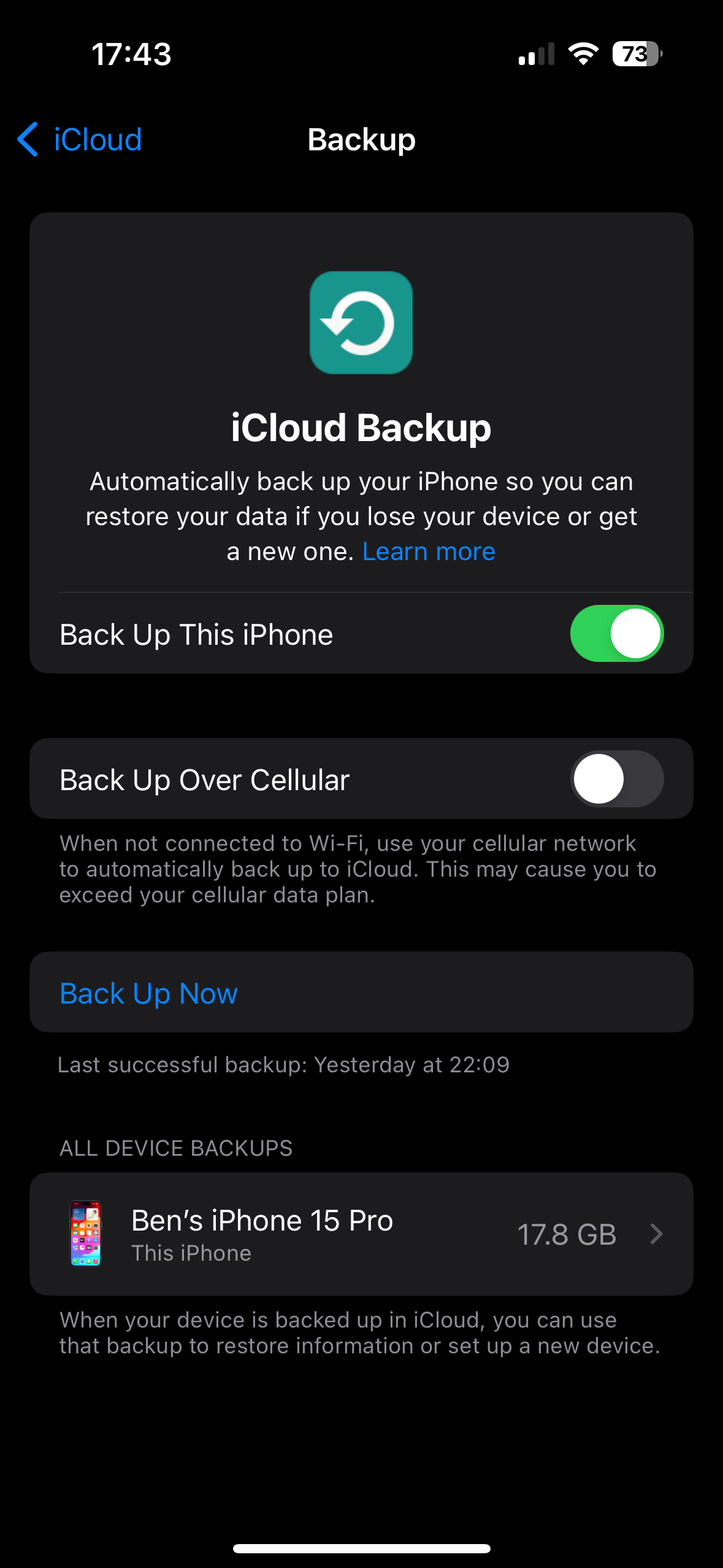 iCloud Backup Settings on iPhone