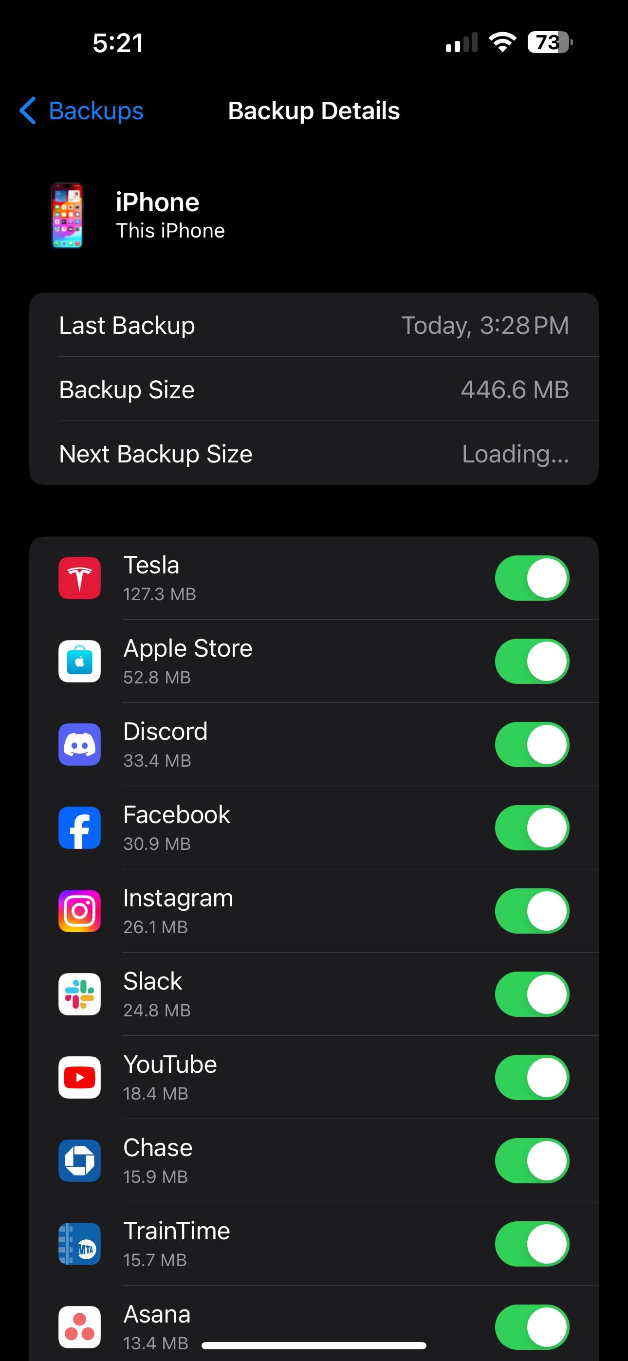 All Apps in a iCloud Backup
