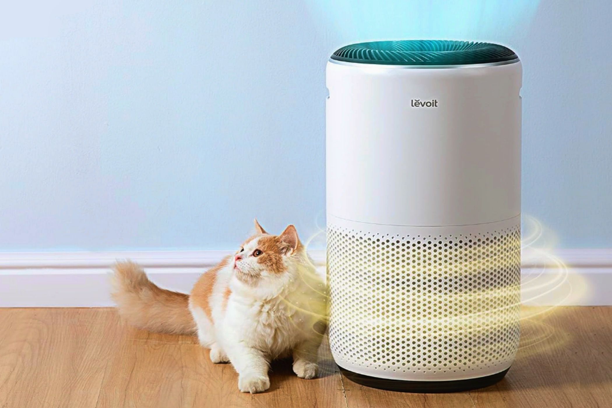 A fluffy cat nest to a Levoit Core 400S Air Purifier