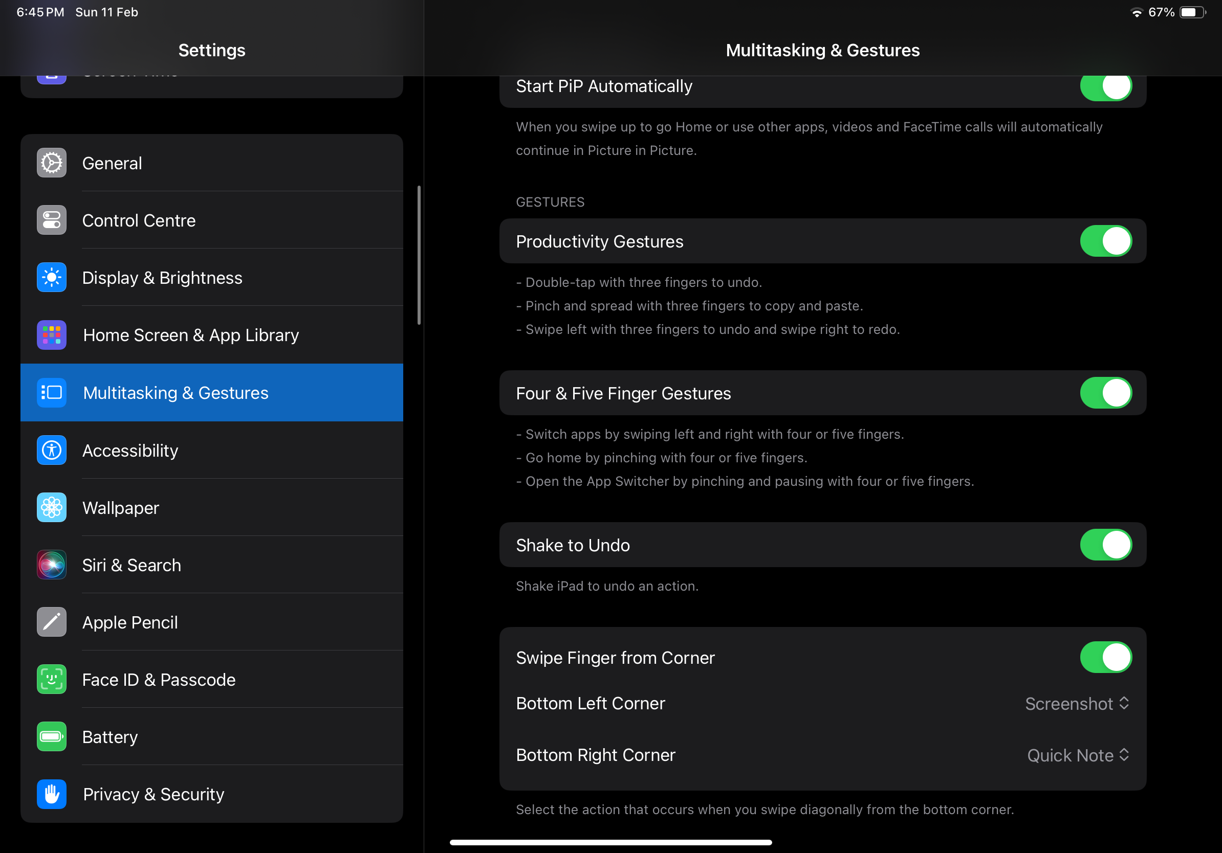 Multitasking & Gestures settings on an iPad