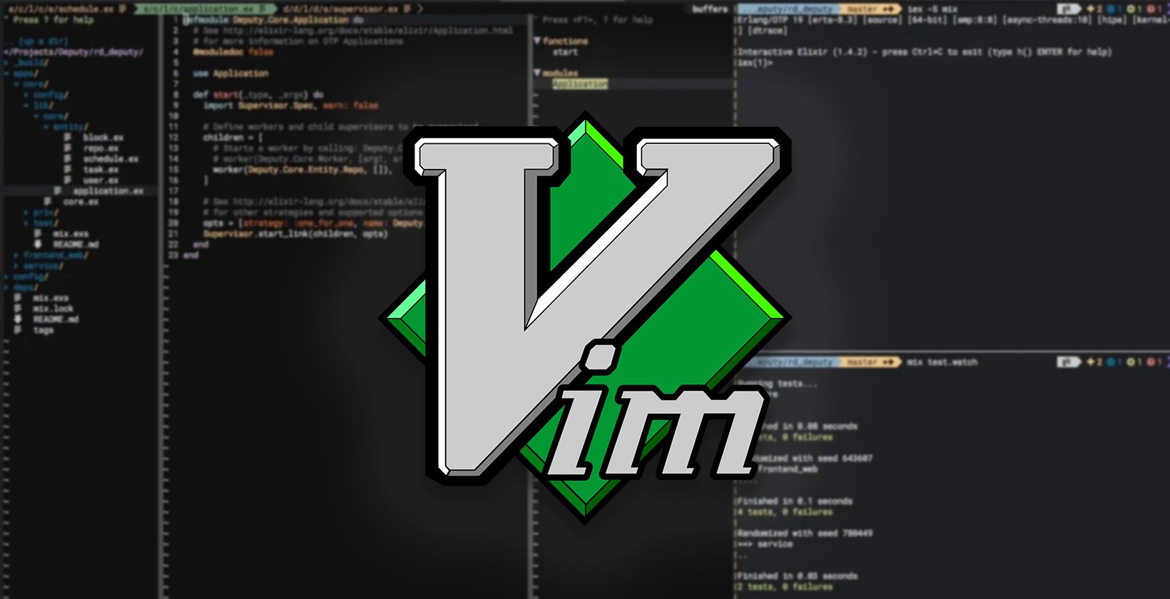 The VIM logo over a blurred image of the VIM editor in use.