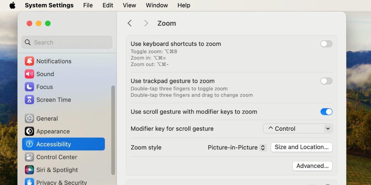 zoom settings in Mac accessibility settings