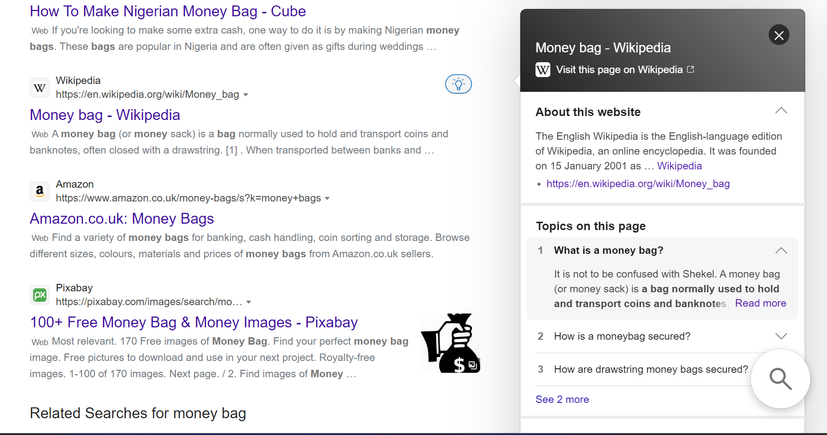 Bing Engine Search Results page displaying results for a money bag query
