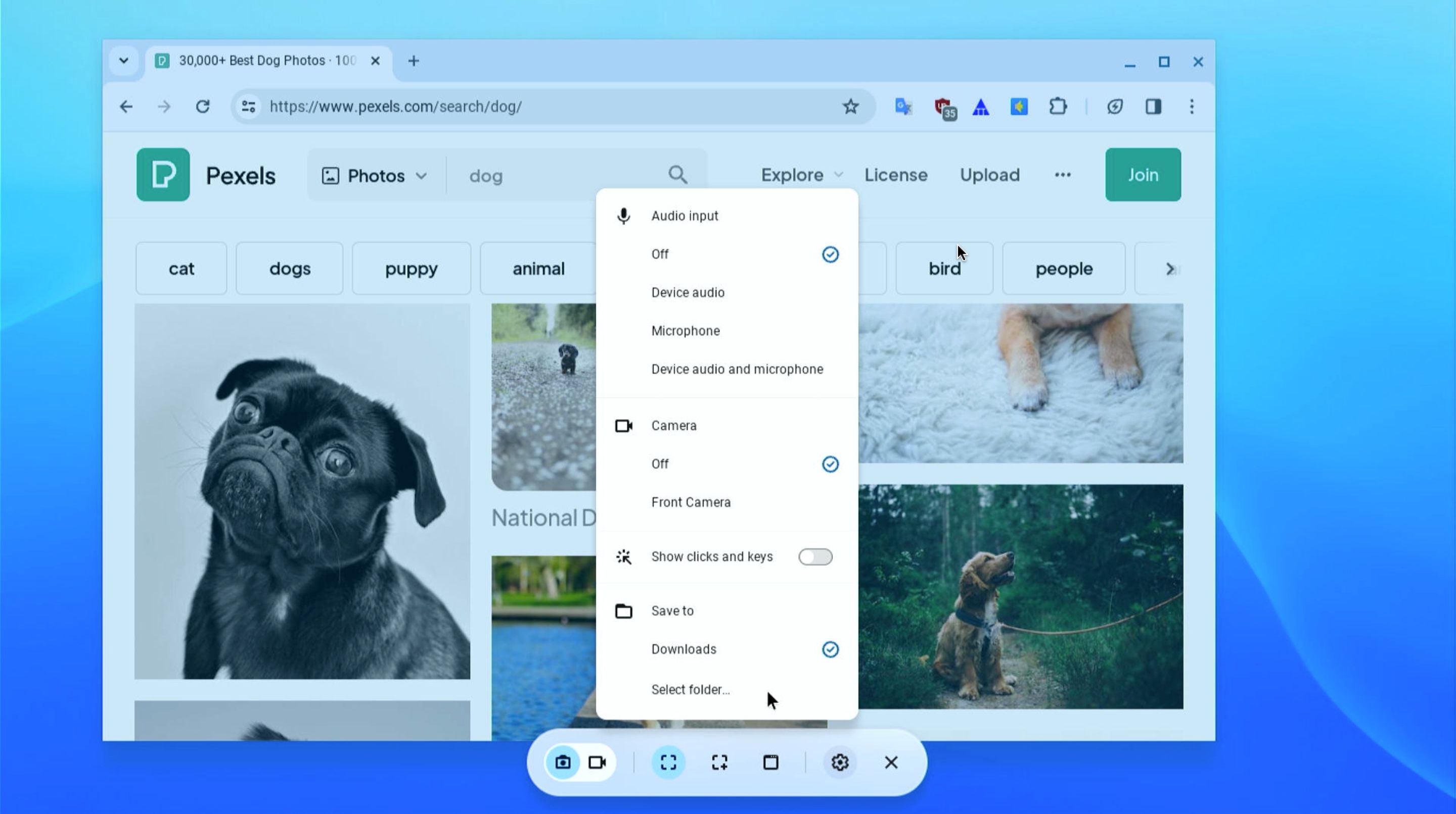 Changing the default screenshots folder in ChromeOS