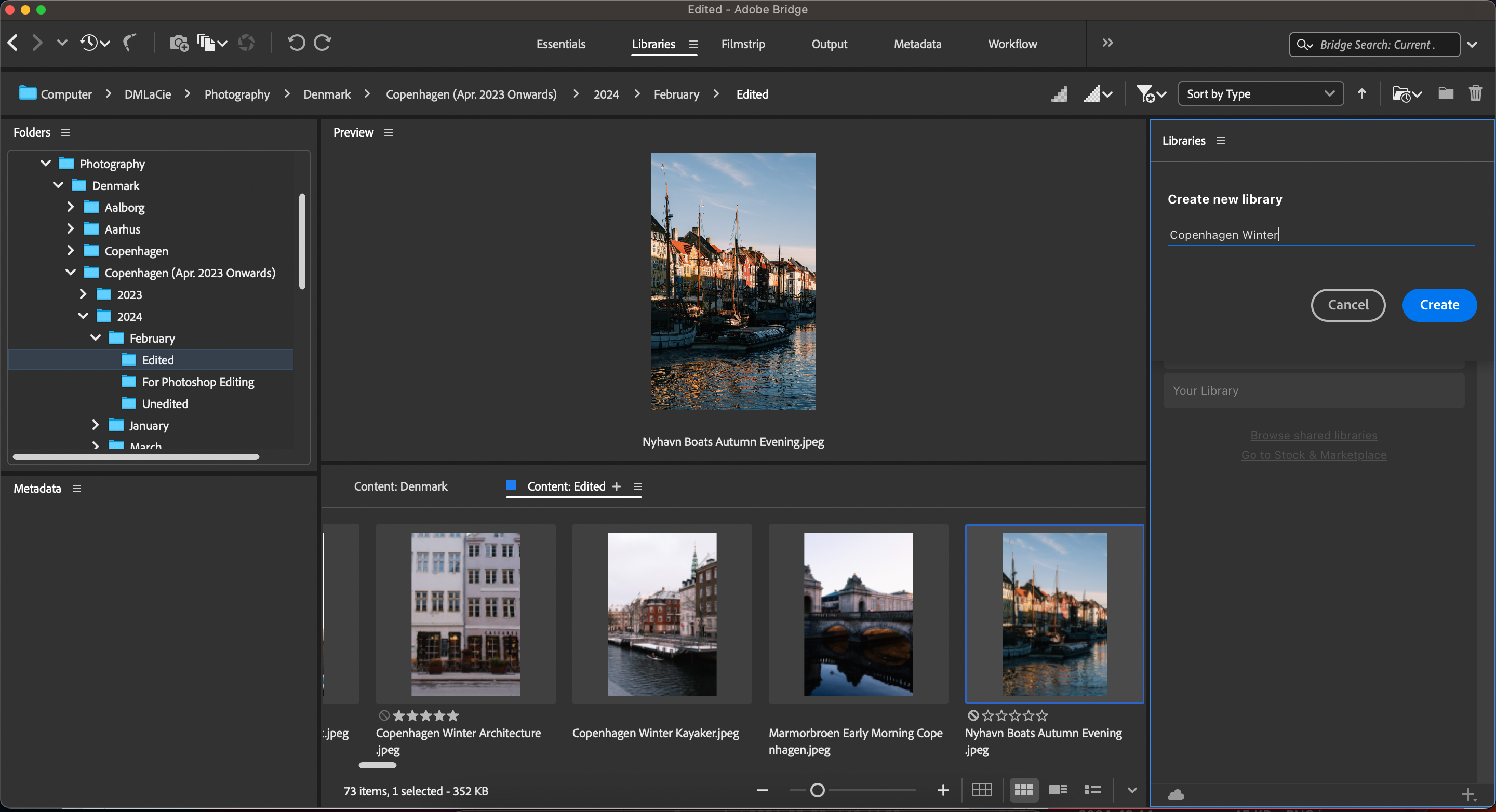 The box to create a new library in the Adobe Bridge app 